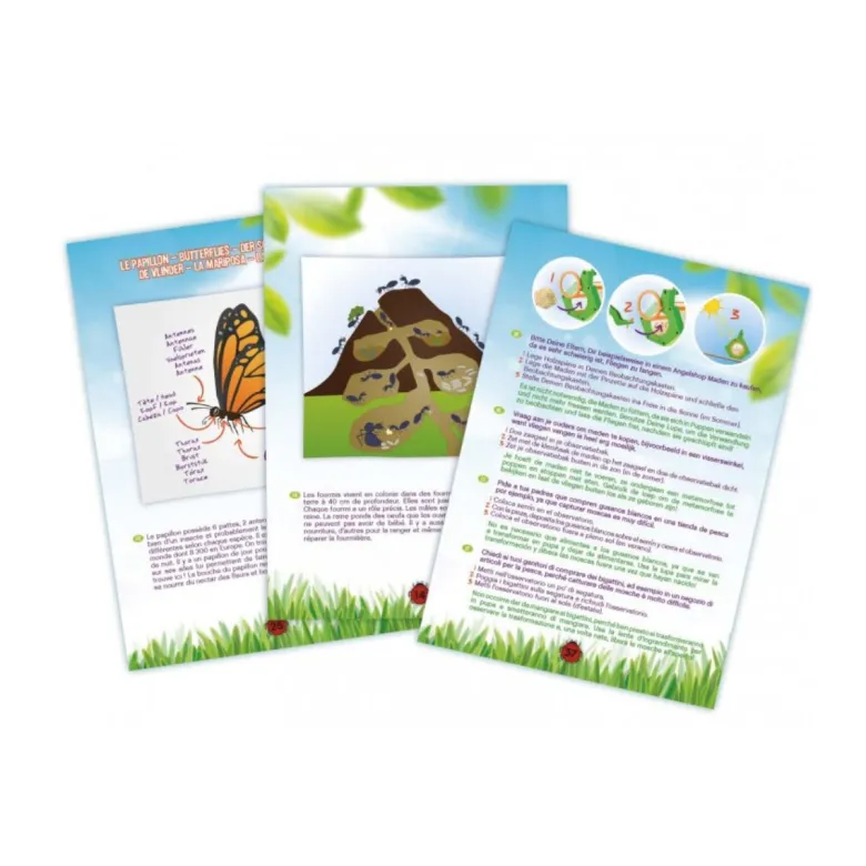 Explorateur insectes