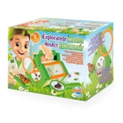 Explorateur insectes
