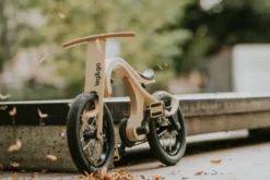 Extension draisienne vers vélo à pédales