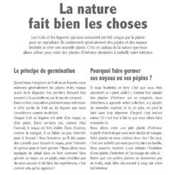 Faites pousser vos noyaux et pépins
