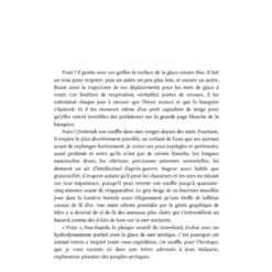 Femmes d'aventures