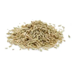 Fenouil bio - 100g - graines entières