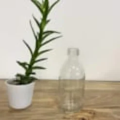 Flacon en verre 250 ml - 6 coloris au