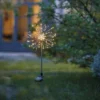 Fleur de pissenlit solaire à planter