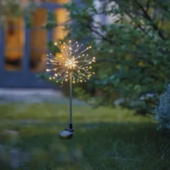 Fleur de pissenlit solaire à planter