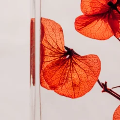 Fleur immergée rouge passion h17