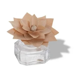 Fleur parfumée ambre précieux