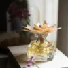 Fleur parfumée fleur d'oranger