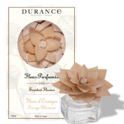 Fleur parfumée fleur d'oranger