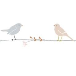 Frise adhésive fleurs et oiseaux (5 mètres)
