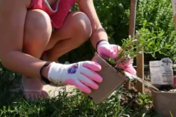 Gant de jardinage enfant rose, lison le papillon - rostaing - 6-8 ans