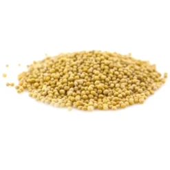 Graines de moutarde jaune bio - 100g - graines entières
