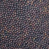 Graines à germer chou rouge germline