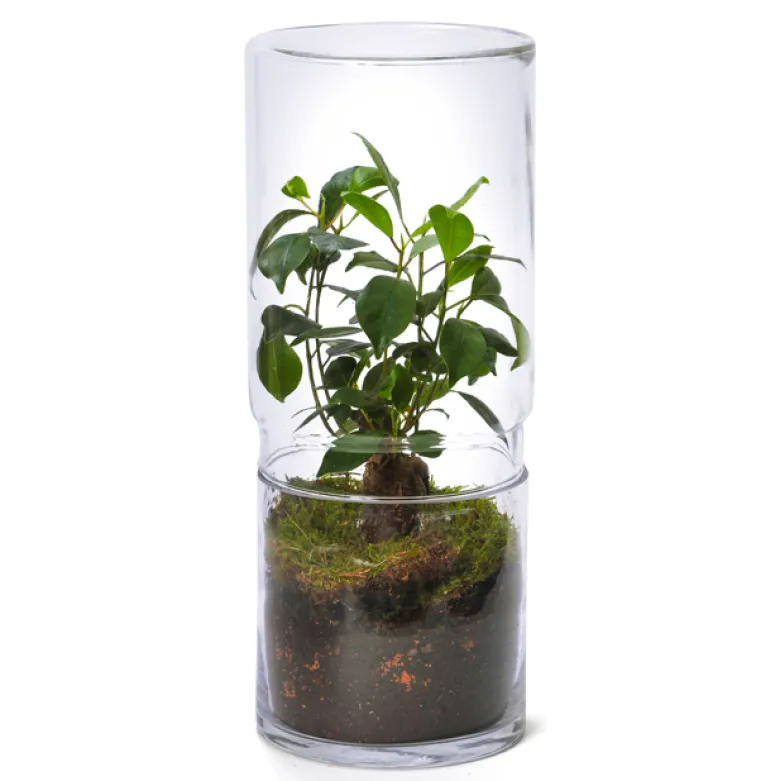 Grand terrarium Green Tower