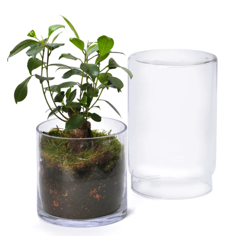 Grand terrarium Green Tower