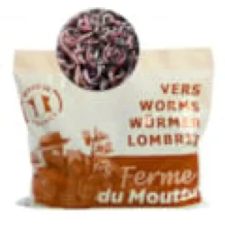 500gr de vers de compost - lombric