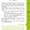 Guide des engrais verts au jardin