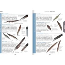 Guide nature traces et indices