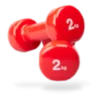 Halteres en vinyle 2 kg