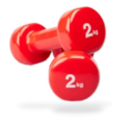 Halteres en vinyle 2 kg