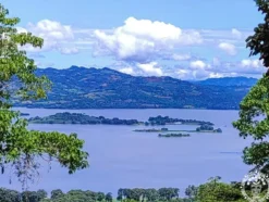 Hamac chaise jinotega l vert