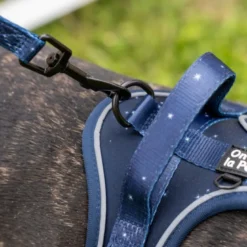 Harnais pour chien confortable et résistant - bleu nuit - taille m