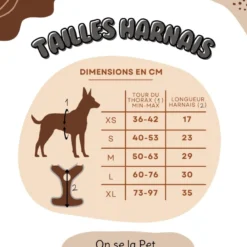 Harnais pour chien confortable et résistant - bleu nuit - taille m