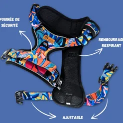 Harnais pour chien confort lagon - s