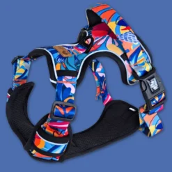 Harnais pour chien confort lagon - s