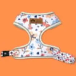 Harnais pour chien printemps - xl
