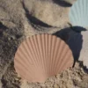 Hochet de dentition coquillage marron