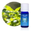 Huile essentielle basilic citronné bio