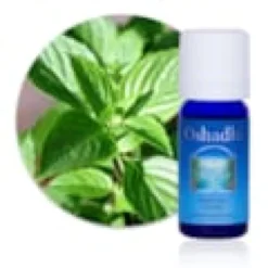 Huile essentielle basilic à linalol bio