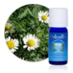 Huile essentielle camomille bleue m bio