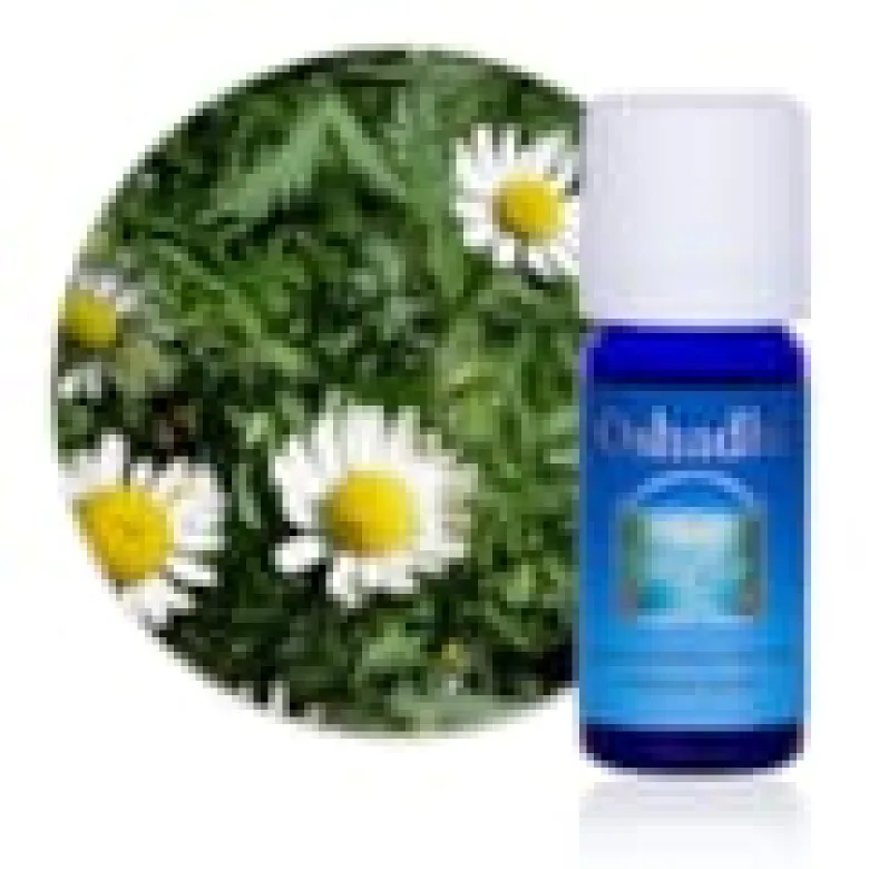 Huile essentielle camomille bleue m bio
