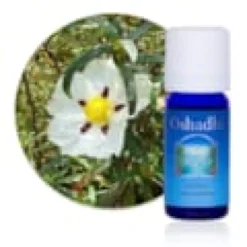 Huile essentielle ciste bio