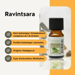 Huile essentielle de ravintsara - 10ml