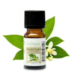 Huile essentielle de ravintsara - 10ml