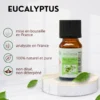 Huile essentielle d'eucalyptus - 10ml