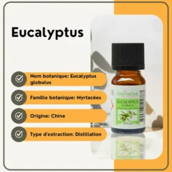 Huile essentielle d'eucalyptus - 10ml