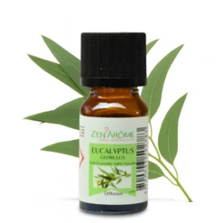 Huile essentielle d'eucalyptus - 10ml