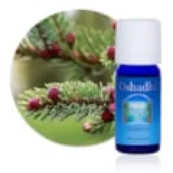 Huile essentielle epinette noire bio
