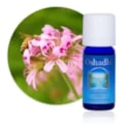 Huile essentielle géranium rosat bio