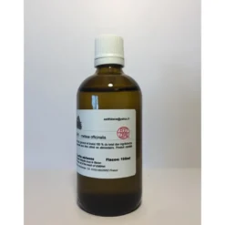 Hydrolat de mélisse bio