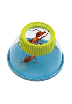 Insectoloupe