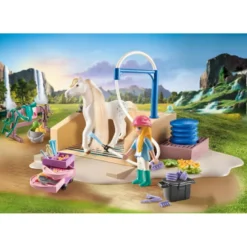 Isabella & lioness aire de lavage