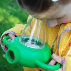 Jeu d'observation des insectes