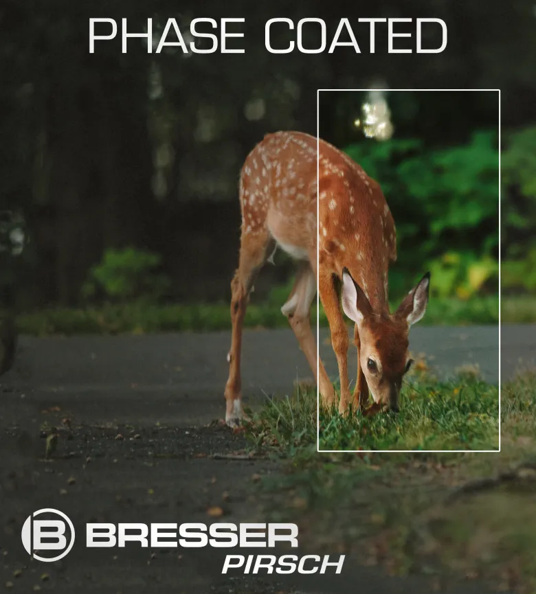 Jumelles pirsch 8x34 phase coating