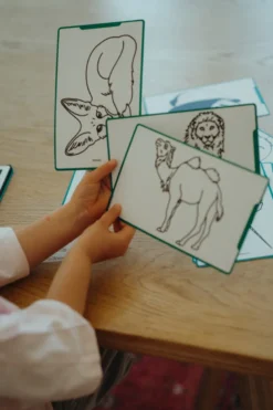 Kidydraw-mini tablette à dessin 30 animaux autour du monde