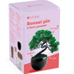 Kit bonsaï à faire pousser